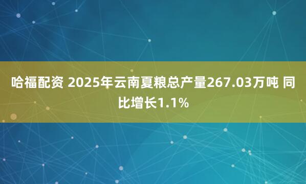 哈福配资 2025年云南夏粮总产量267.03万吨 同比增长1.1%
