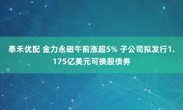 泰禾优配 金力永磁午前涨超5% 子公司拟发行1.175亿美元可换股债券