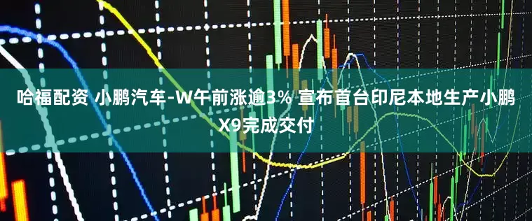 哈福配资 小鹏汽车-W午前涨逾3% 宣布首台印尼本地生产小鹏X9完成交付